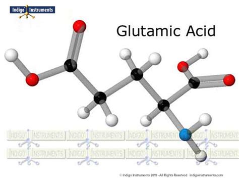 Glutamic Acid Molecule Structure Model, Orbit Style