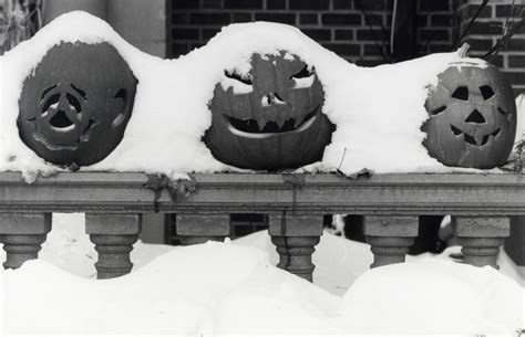 A Blog for Minnesota Cities: The Halloween Blizzard of 1991: Mother Nature's Trick (Not Treat!)