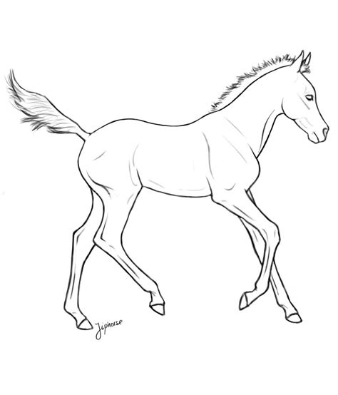 Foal Coloring Pages at GetDrawings | Free download