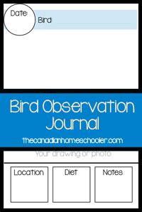 Bird Observation Journal {Printable}