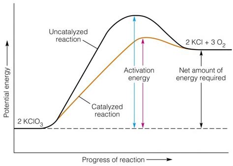 Activation Energy Diagram