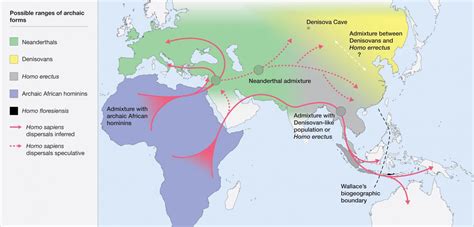 Hominin Distribution Map [IMAGE] | EurekAlert! Science News Releases