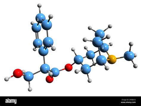 3D image of Atropine skeletal formula - molecular chemical structure of ...