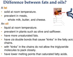 Difference between fats and oils with Examples - Ox Science