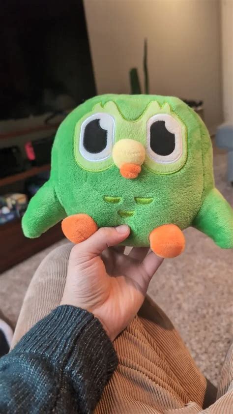 The Duolingo Plushie – Aesthetic Boosters