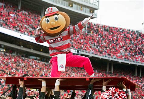 What exactly is a Buckeye, and why is it Ohio State's mascot? - al.com