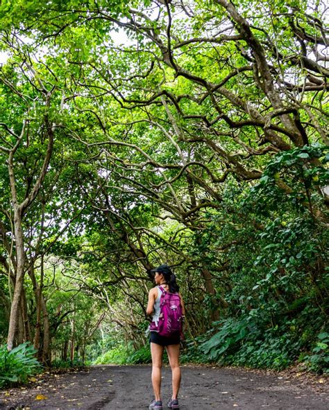 Hike Waipio Valley — Big Island, Hawaii — Backcountrycow | Backpacking ...