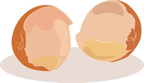 Egg shell, illustration, vector on white background. 13603684 Vector ...