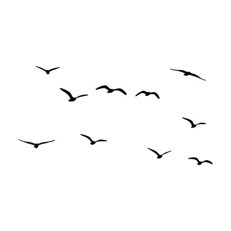 Beautiful Flying Birds Silhouette, Bird Silhouette, Bird Vector, Flying ...