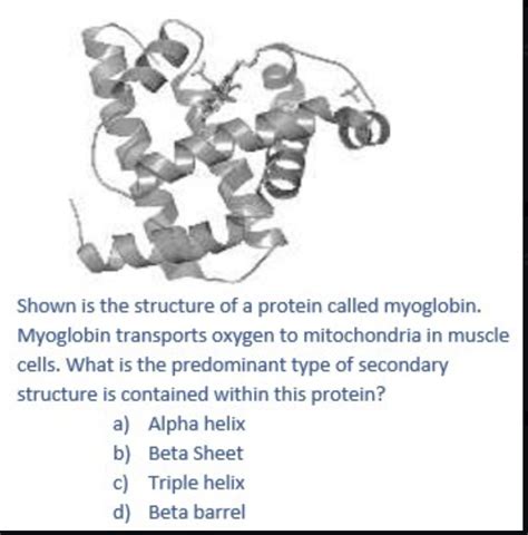 [Solved] . Shown is the structure of a protein called myoglobin. Myoglobin... | Course Hero