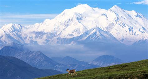 Parks in Brief: Denali National Park and Preserve, Lake Powell National ...