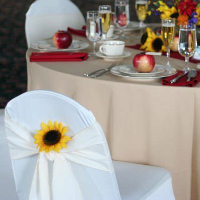 All Events: Event, Party and Wedding Rentals - Ohio: Spandex Chair Covers