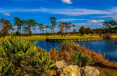 Rogers Park Golf Course (Tampa) - 2021 Qué saber antes de ir - Lo más comentado por la gente ...