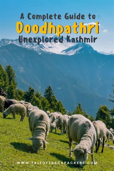 DOODHPATHRI, Trip to the Valley of Milk in Kashmir - Tale of 2 Backpackers