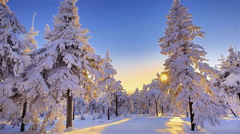 HD wallpaper: Winter In Germany, amazing winter landscape, blue winter, winter scenery ...