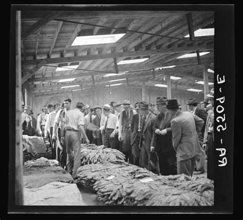 15 Rare Photographs Show The History Of The Tobacco Industry In North Carolina