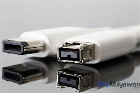 Explain the Differences Between Usb Port and Firewire Port