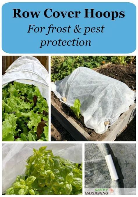 Row Cover Hoops for Frost and Pest Protection in Gardens & Raised Beds Gardening For Beginners ...