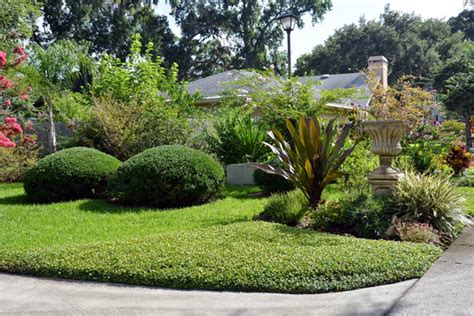 Low-Maintenance Lawn Alternatives: Ground Cover - HAR.com