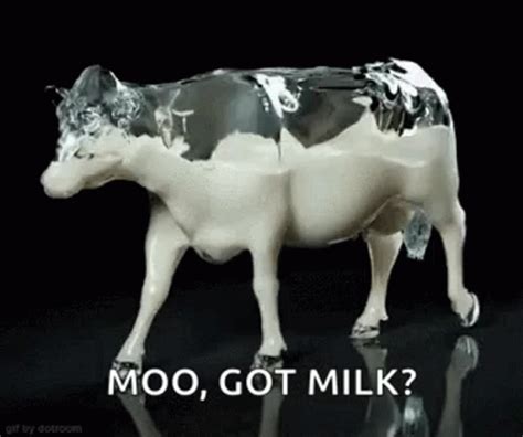 Cow Milk GIF - Cow Milk Walking - ค้นพบและแชร์ GIF