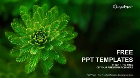 Plant Powerpoint Template