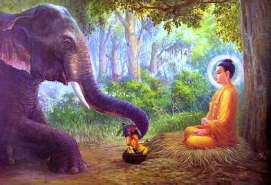 Animals in Buddhism - Alan Peto