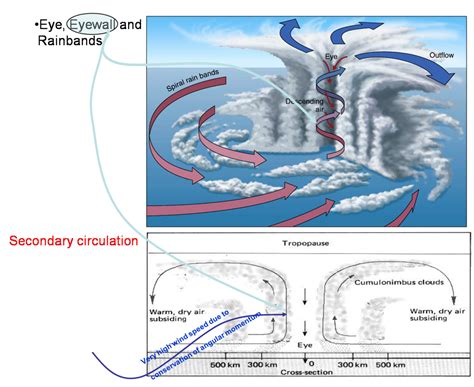 How do tropical cyclones form ? - SMOS WIND DATA SERVICE & STORM projects