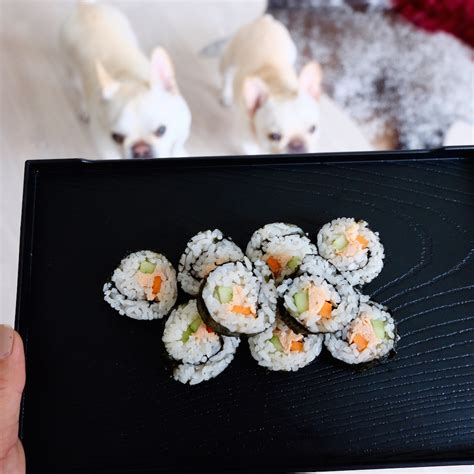 Make Your Own Sushi The Dogs Can Eat! • Where's The Frenchie?