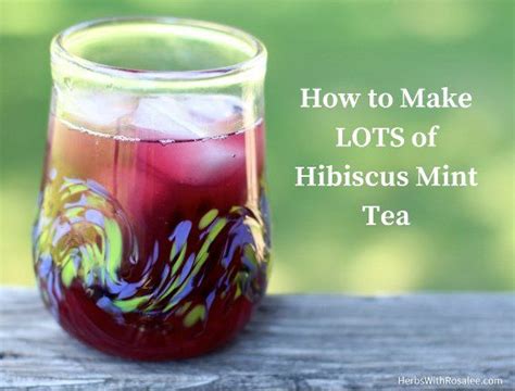 Hibiscus Tea Recipe | Hibiscus tea, Mint tea recipe, Mint tea benefits
