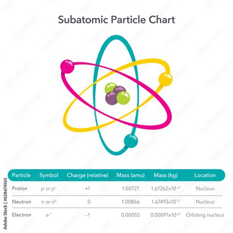 Subatomic Particle Chart educational vector illustration infographic Stock Vector | Adobe Stock