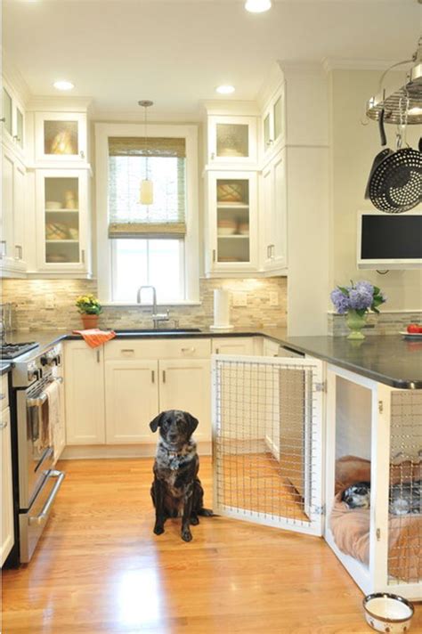 12 Indoor Dog Houses That We Think are Pawsitively Genius | Martha Stewart