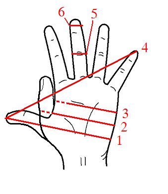 Digit (unit) - Wikipedia