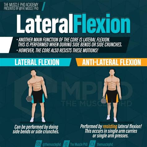 💥 Lateral flexion is another common way we see the core trained – this occurs in exercises like ...