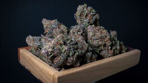 Black Cherry Gelato Weed Strain Review - Rolling Paper