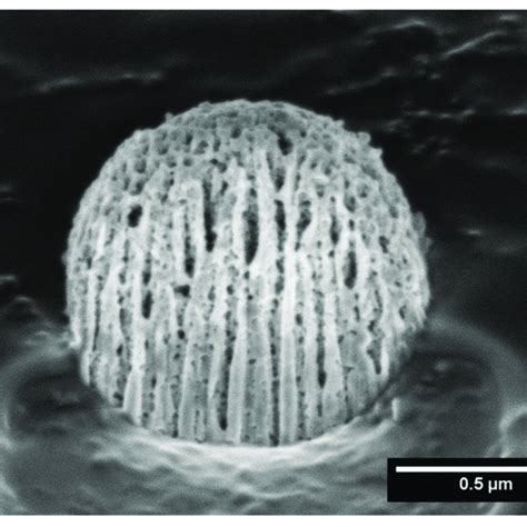 Focused ion beam scanning electron microscopy (FIB-SEM) of a MIL-100 ...