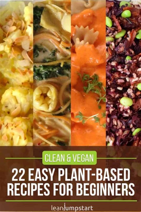 22 easy plant-based recipes for beginners (30-min)