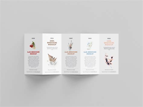 5 Fold Accordion Brochure Mockup