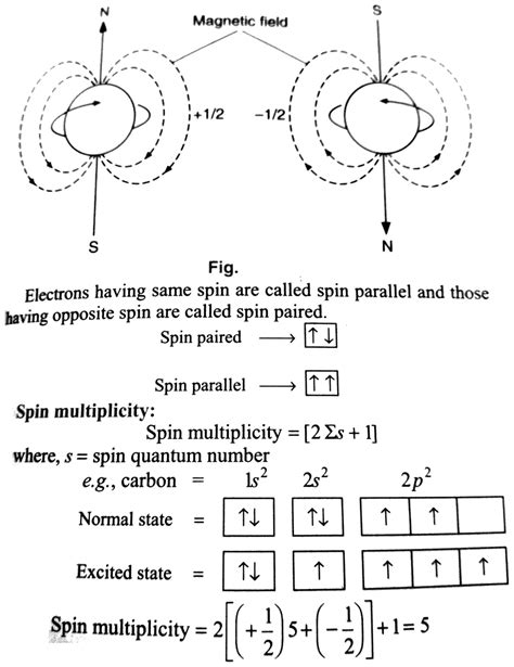 what is spin angular momentum and why pauli's exclusion principle is ...