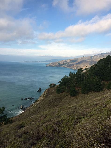 MUIR BEACH , CALIFORNIA - Gary Foster Photograph