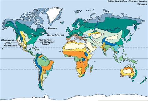 Biome Tundra Map