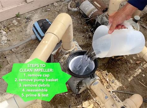 How to Unclog Your Pool Pump Impeller! (video) - True Method