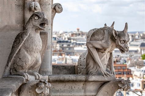 Notre Dame Cathedral Gargoyles Drawing