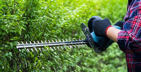 Top 5 Hedge Trimmer Safety Tips - Mylek