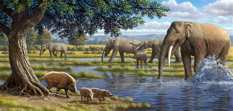 Mammals of the Miocene era, artwork - Stock Image - C001/6357 - Science Photo Library