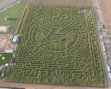 Corn Mazes: Where Getting Lost Is an Art Form