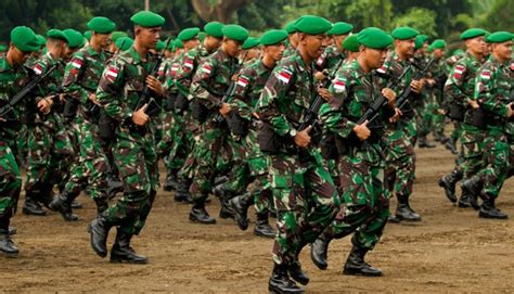 Jenis Fabrik Dan Warna Pakaian Tentara Darat - Anaya-has-Johns