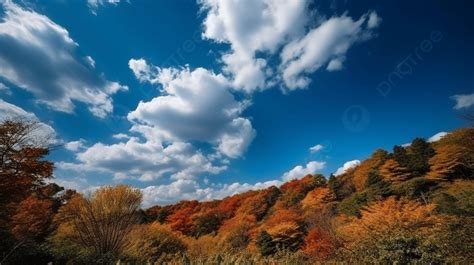 Photos Digital Print Of Hd Autumn Fall Sky In Blue Sky With Clouds Background, Autumn Blue Sky ...