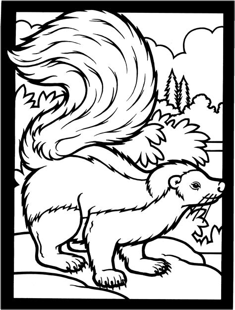 Skunk Coloring Pages - Kidsuki