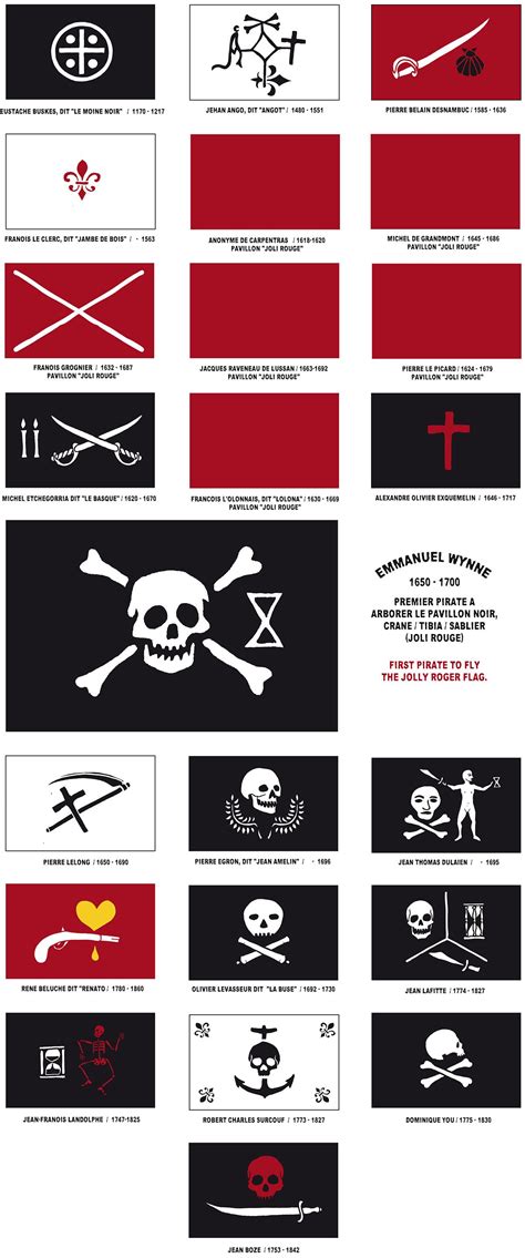 Pirate flag & drapeau pirate on Behance | Drapeau pirate, Drapeau, Pirate