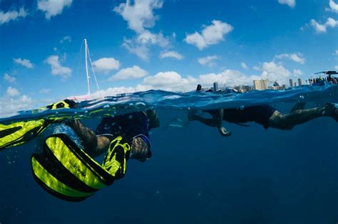 Honolulu Snorkel Tour | Discover the Beauty of Oahu's Underwater World